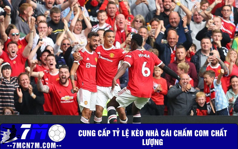 Cung cấp tỷ lệ kèo nhà cái chấm com chất lượng