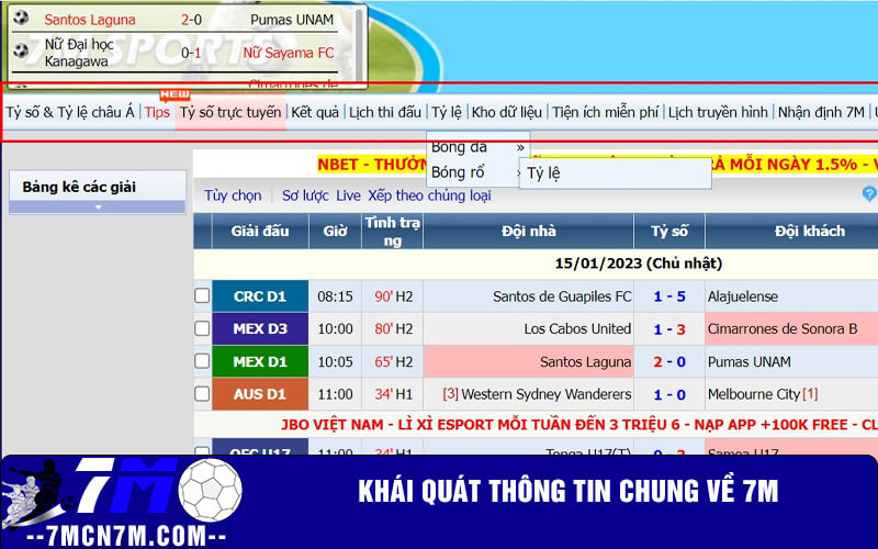 Khái quát thông tin chung về 7M