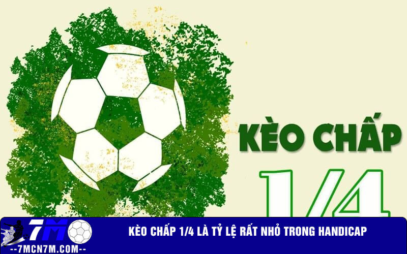 Kèo chấp 1 4 là tỷ lệ rất nhỏ trong Handicap