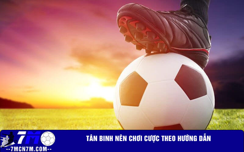 Tân binh nên chơi cược theo hướng dẫn