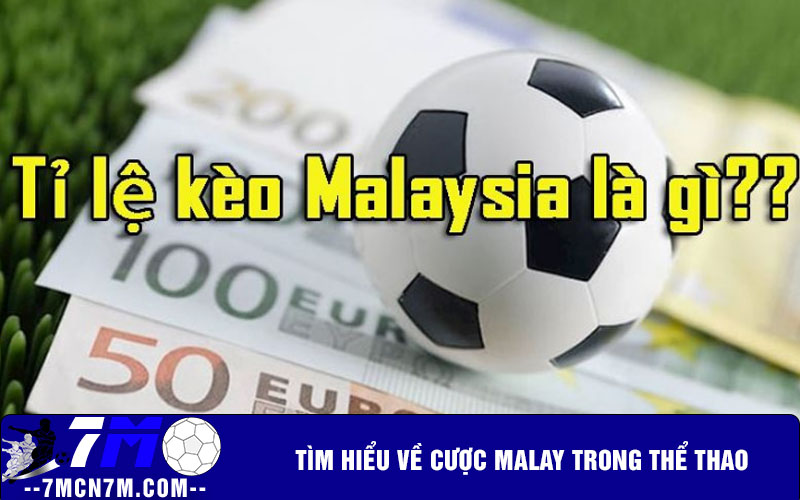 Tìm hiểu về cược malay trong thể thao