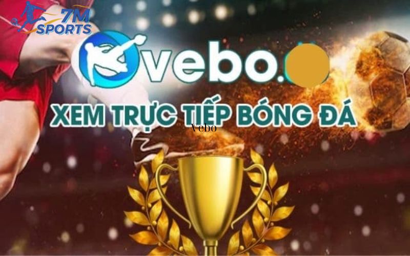 Những giá trị nổi bật mà BXH bóng đá tại Vebo mang lại