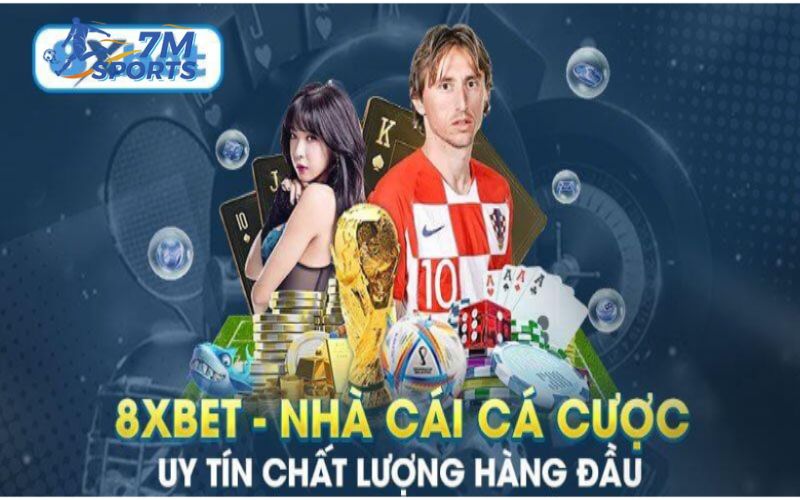 Kiểm tra hoạt động đăng nhập 8xbet thường xuyên