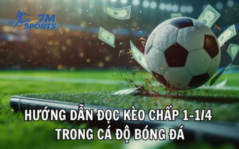 Hướng dẫn đọc kèo chấp 1-1/4 trong cá độ bóng đá