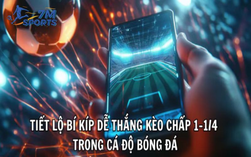 Tiết lộ bí kíp dễ thắng kèo chấp 1-1/4 trong cá độ bóng đá