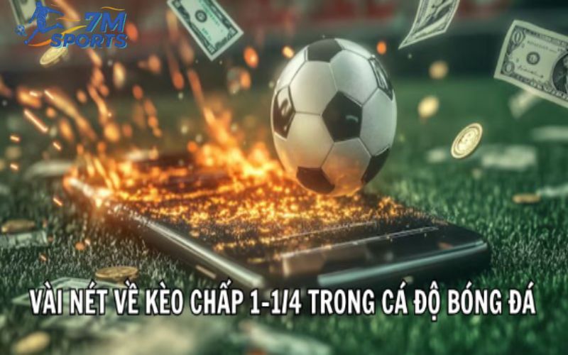 Vài nét về kèo chấp 1-1/4 trong cá độ bóng đá