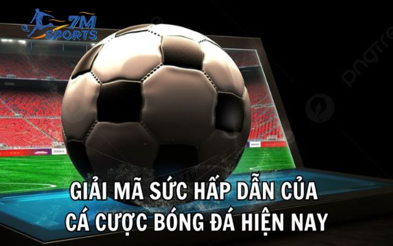 Giải mã sức hấp dẫn của cá cược bóng đá hiện nay