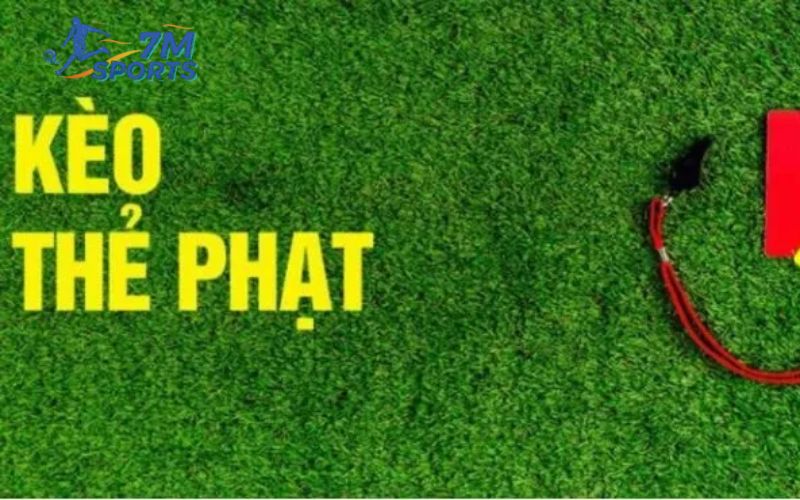 Kèo thẻ phạt - Cược số lượng thẻ vàng, thẻ đỏ trong trận đấu