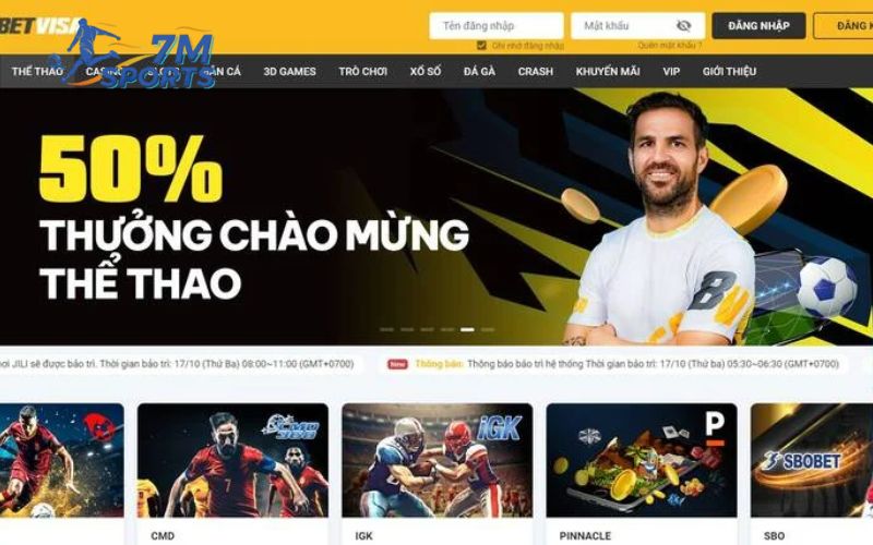 Hướng dẫn chi tiết cách đăng ký Betvisa cho người mới bắt đầu