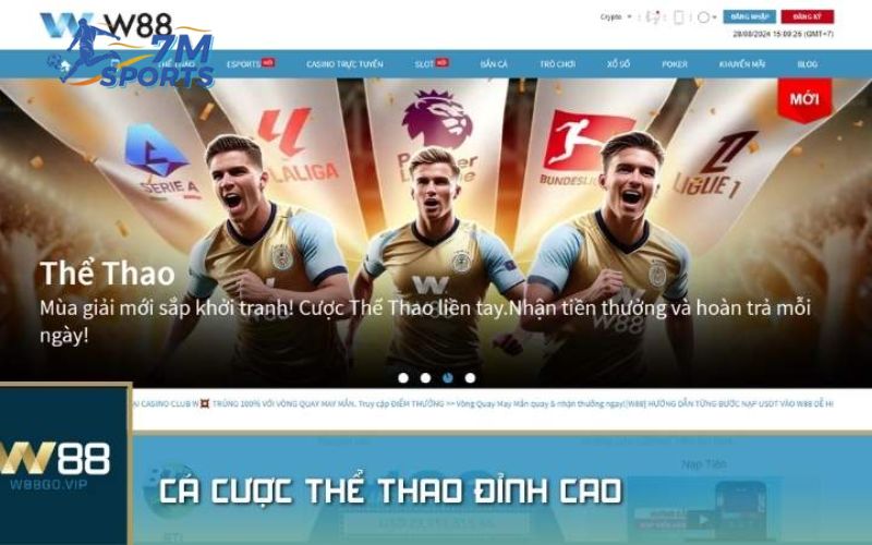 Các dịch vụ cá cược đẳng cấp tại W88