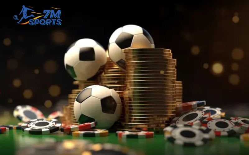 Giới thiệu thông tin về nhà cái trực tuyến Vsbet