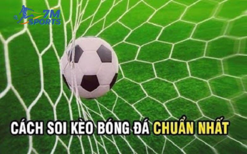 Các bước cơ bản trong việc soi kèo nhà cái