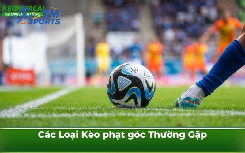 Các Loại Kèo Phạt Góc Thường Gặp