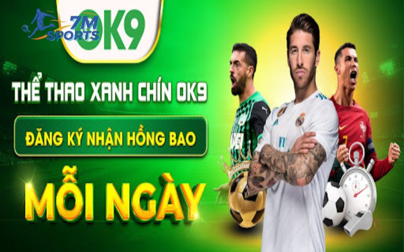 Trải nghiệm cá cược đa dạng tại OK9 sau khi đăng nhập