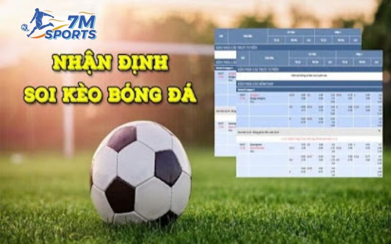 Tại sao soi kèo nhà cái lại quan trọng?