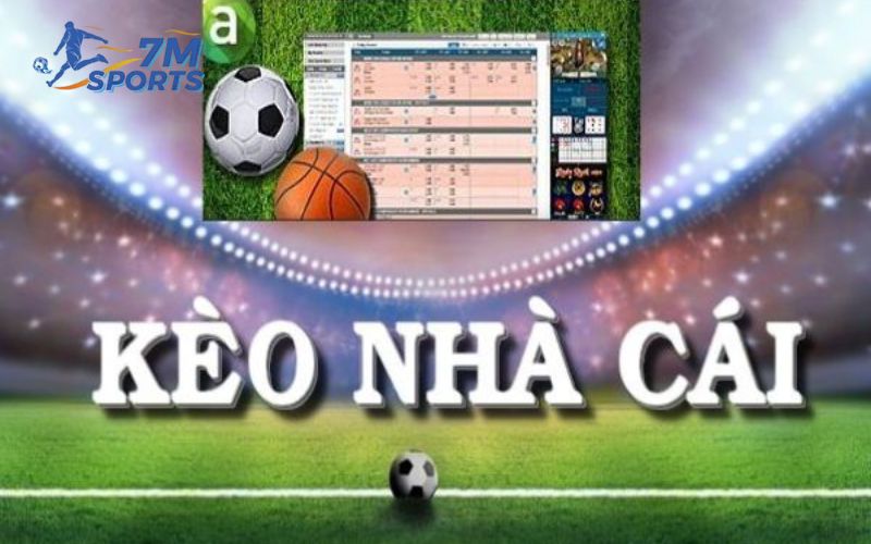 Những bí quyết soi kèo nhà cái hôm nay từ các cao thủ